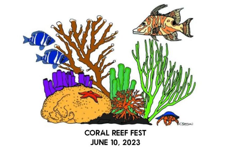 coral-reef-fest